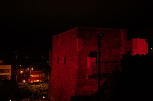 Archivo:Castillo de Mata durante la noche del Día Internacional de los Museos (18-05-2016)