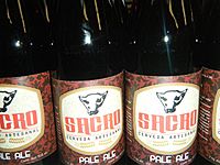 Archivo:Cerveza artesanal de Tequixquiac (3)