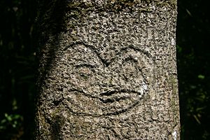Archivo:Chatham Island Tree Carving