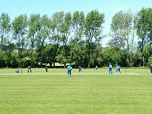 Archivo:College field guernsey bermuda