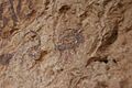 Cueva de los Letreros. Panel 7. Detalle
