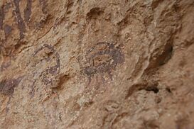 Cueva de los Letreros. Panel 7. Detalle.JPG