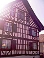 Felben-Wellhausen (faktrabdomo) 675