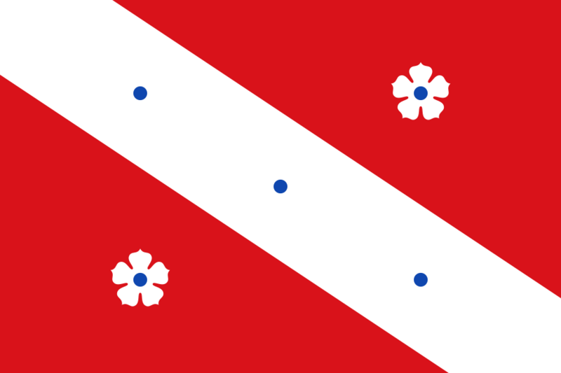 Flag of Frasnes-lez-Anvaing
