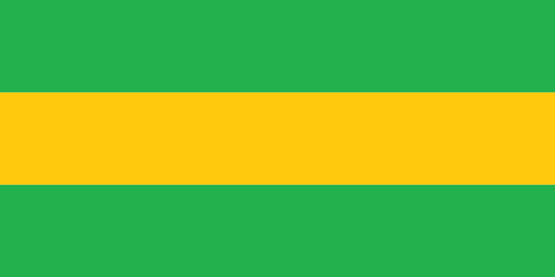 Flag of Timbiqui (Cauca)