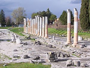 Archivo:Foro romano di Aquileia