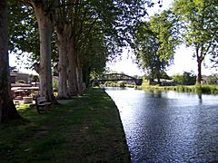 Fourques-sur-Garonne Canal