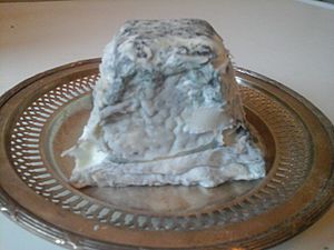 Archivo:Fromage de Valençay