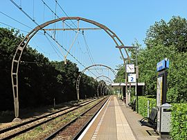 Archivo:Hollandsche Rading, spoorbogen op treinstation foto2 2012-05-28 16.51