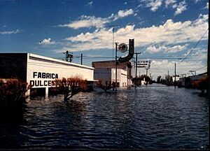 Archivo:Inundación de Villa Epecuén