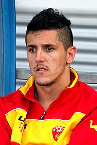 Archivo:Iran vs. Montenegro 2014-05-26 (161)