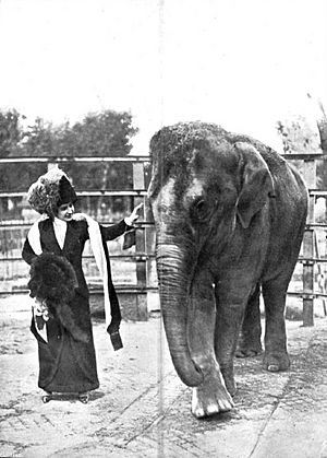 Archivo:Julia Fons y un elefante