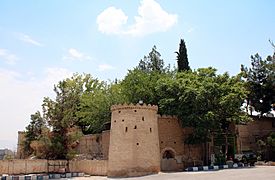 Karim-Khani Castle