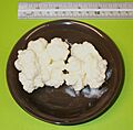 Kefir-grains-90grams