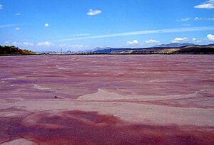 Archivo:Lake Magadi, Kenya-5