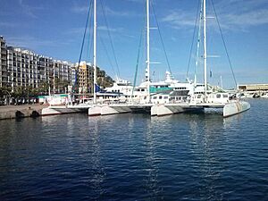 Archivo:Mundo Marino Catamaranes Denia