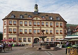 Neustadt an der Weinstrasse BW 2017-09-28 12-18-52.jpg