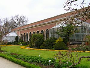 Archivo:Orangerie Kruidtuin Leuven