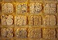 Palenque glyphs-edit1