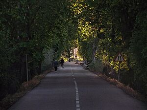 Archivo:Paseo castaños coomonte