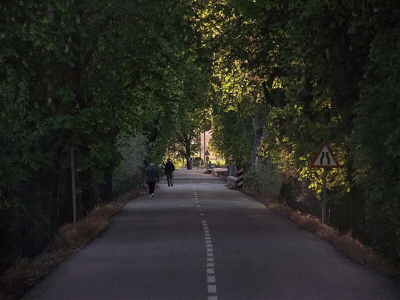 Paseo castaños coomonte
