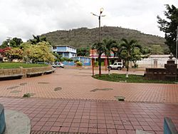 Plaza Bolivar - panoramio (17).jpg
