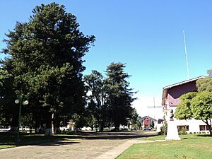 Archivo:Plaza de Armas y Municipalidad Purranque