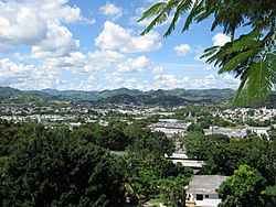 Pueblo de Cayey, Puerto Rico desde la carretera 15 - panoramio.jpg