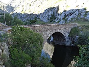 Archivo:Punte del Villarín sobre el río Curueño. León (3)