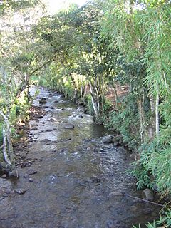 Archivo:Quebrada agua blanca Berbeo
