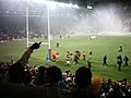 Rhinos2008