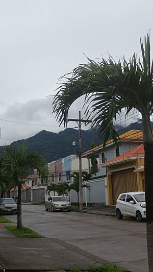 Archivo:San Pedro Sula