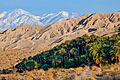 Sand to Snow National Monument
