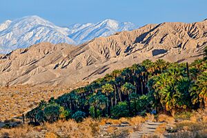 Archivo:Sand to Snow National Monument