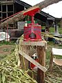 Sorghum cane juicer