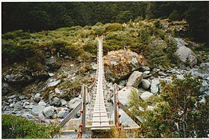 Archivo:Suspension Bridge - Dart River (Otago)