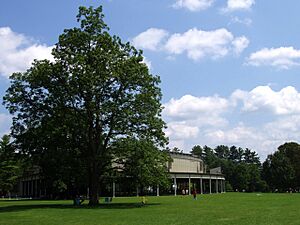 Archivo:Tanglewood Music Shed and Lawn, Lenox, MA