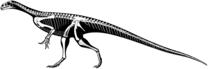 Archivo:Thecodontosaurus antiquus skeleton