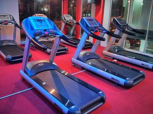 Archivo:Treadmills in Cobra Gym 24 Hour Fitness