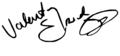 Valentín Elizalde signature