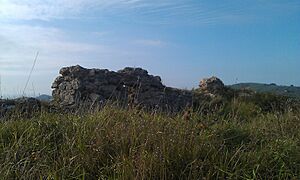 Archivo:Vispieres1