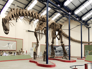 Archivo:Argentinosaurus skeleton, PLoS ONE