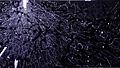 Beta radiation in a cloud chamber