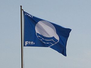 Archivo:Blaue Flagge 2007