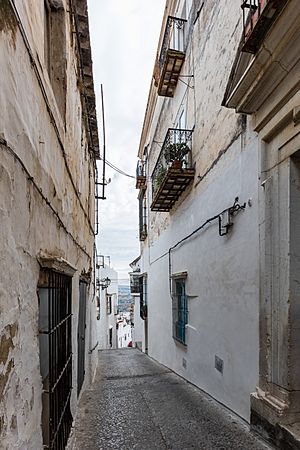 Archivo:Calle de Arcos de la Frontera, Cádiz, España, 2015-12-08, DD 11