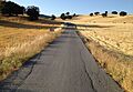 Camino rural de Las Capillas (término municipal de Montefrío)