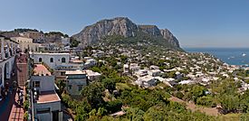 Capri Centre Belvedere.jpg