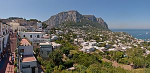 Capri Centre Belvedere.jpg