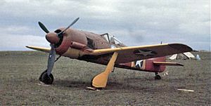 Archivo:Capturedfw190 red