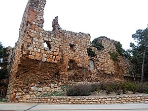 Archivo:Castillo de Almonacid de la Sierra